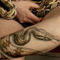co oznacza tatuaż węża 1