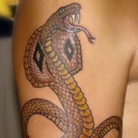co oznacza tatuaż węża 3