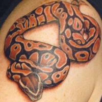 co oznacza tatuaż węża 6