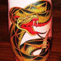 co oznacza tatuaż węża 9