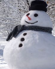 snjegović s vlastitim rukama
