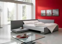 Sofa Bed1
