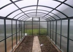 příprava půdy ve skleníku