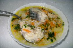 makrely polévka v pomalém sporáku