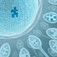 spermogram při plánování těhotenství