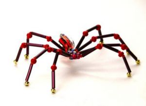 paciorek spider24