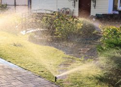 Спринклери за поливане на градината как да избирате