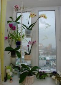 Květinový stojan na okenní liště4