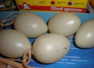 Стоји за ускршња јаја својим властитим рукама 8