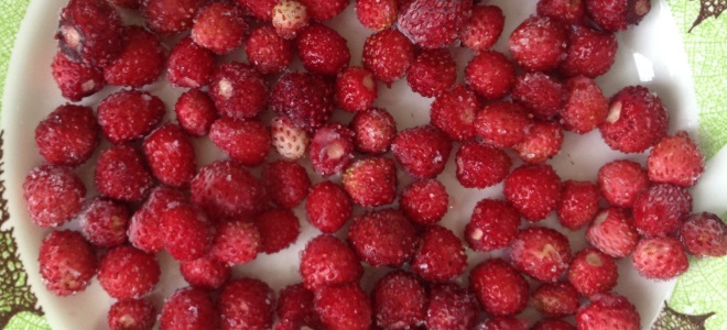 как да замразите ягоди със захар за зимата