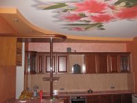 Stropni stropovi u kuhinji6