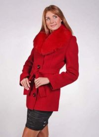 Stylový zimní kabát s kožešinou 2