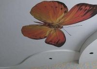 Пеперуда от гипсокартон на тавана 2
