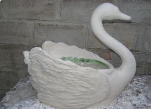 Sádra Swan11