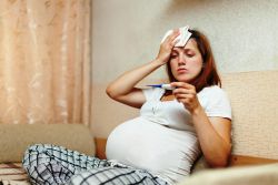 prašičja gripa pri nosečnicah
