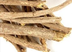 Lastnosti root licorice