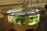 Stolní akvárium 5