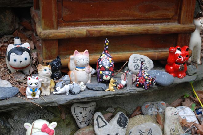 Кошачьи сувениры, которыми усыпан остров Тасиро