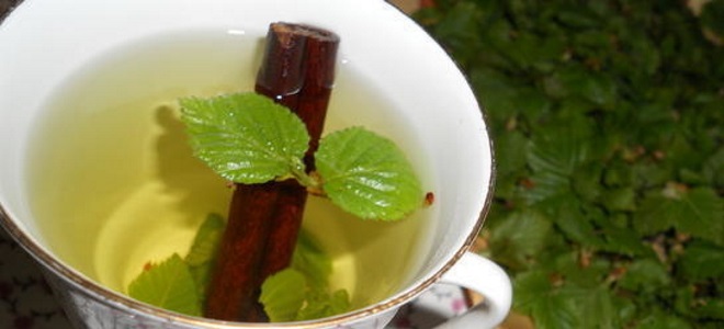 малинов лист чай