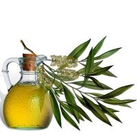 olejek z drzewa herbacianego na przeziębienia