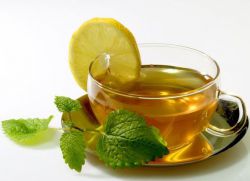 svojstva metvice u čaju