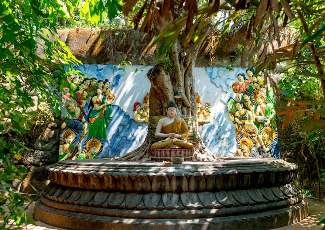 Будда на заднем дворе храма