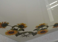 Lesklé stropní stropy s obrazem - 2