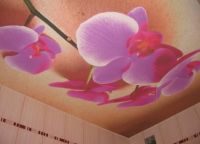 Risbe cvetja na stropu - 1