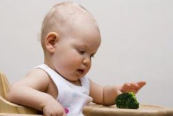 какво да хранят дете на 6 месеца