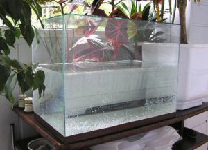 Akvárium s vlastními rukama ze skla14