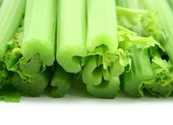 korisnost celera