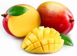 mango voće