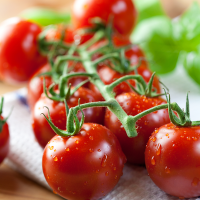 Pomidory czereśniowe przynoszą korzyści