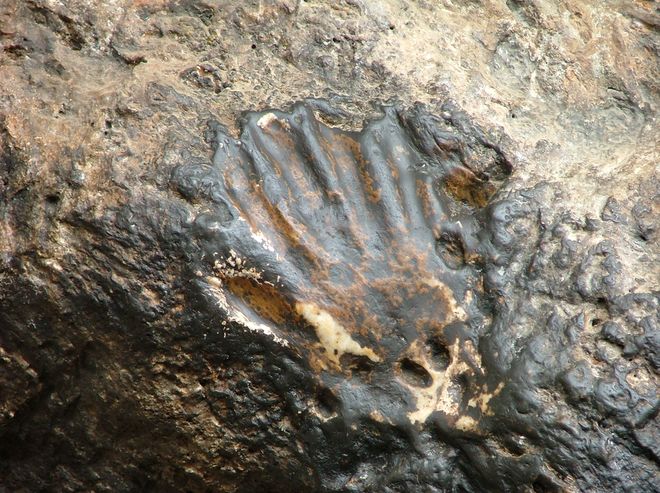 Отпечаток ладони Гуру Ринпоче, оставленный у входа в пещеру Асура