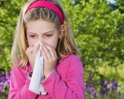 rozkvét symptomy alergie