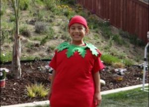 kostým z rajčat s vlastními rukama10