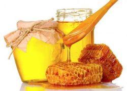 nebezpečí, která jsou plná medu 2