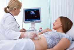 ko je prvi ultrazvok med nosečnostjo