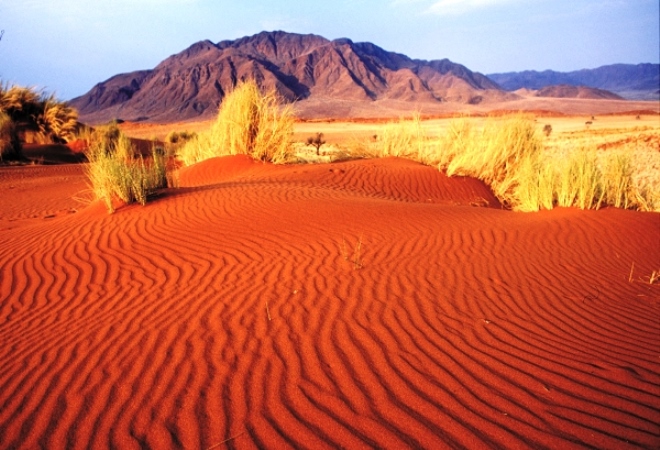 Красные пески пустыни Нефуд