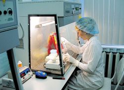 dokładność metody PCR