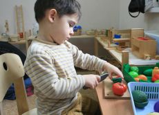 Program Montessori