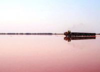 розе језеро на Алтаи_2