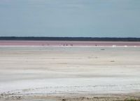 розе језеро на Алтаи