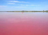 růžové jezero na Altai