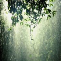 kiša na Ivani Kupali