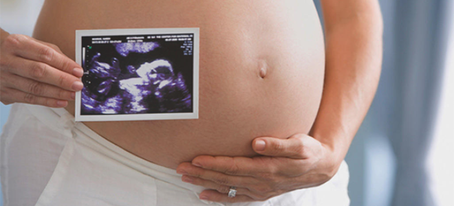velikost dítěte do týdne těhotenství