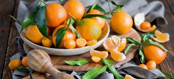 užitečné vlastnosti mandarinky