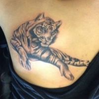 какво означава тигровата татуировка