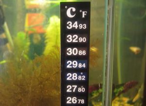 аквариум термометър3