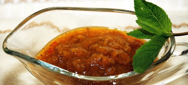 Apricot Tkemali - Recipe